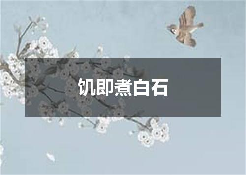 饥即煮白石