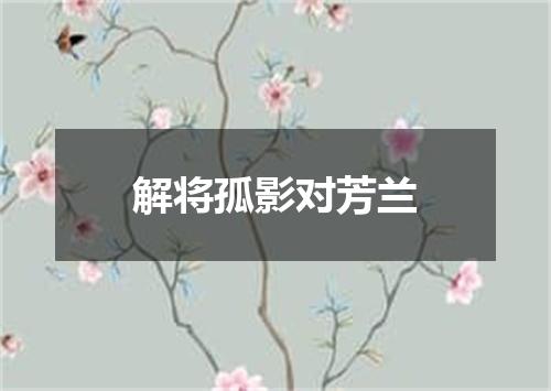 解将孤影对芳兰