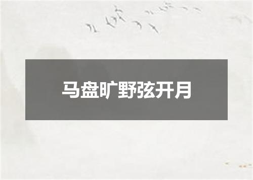 马盘旷野弦开月