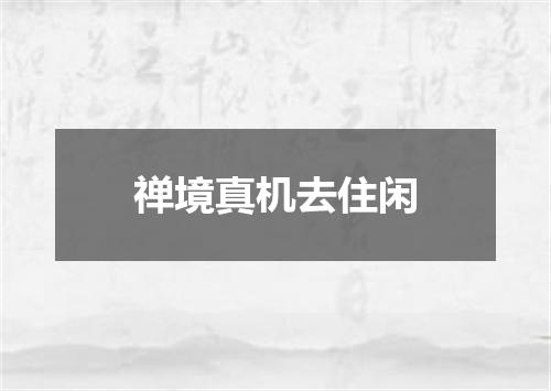 禅境真机去住闲