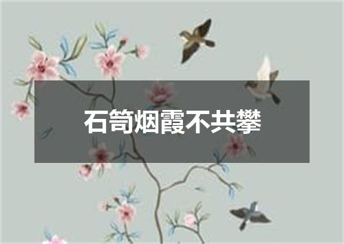 石笥烟霞不共攀