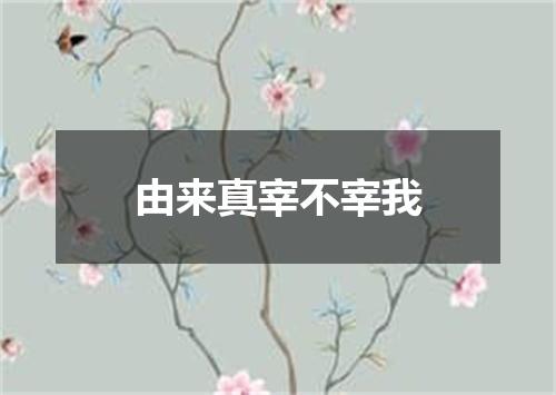 由来真宰不宰我