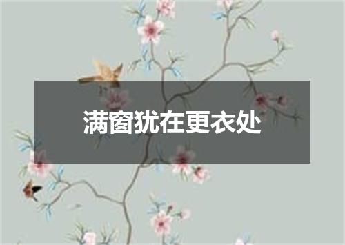 满窗犹在更衣处