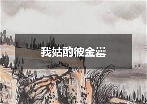 我姑酌彼金罍