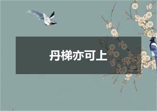 丹梯亦可上
