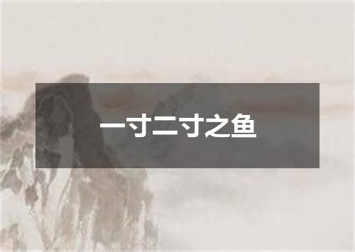 一寸二寸之鱼