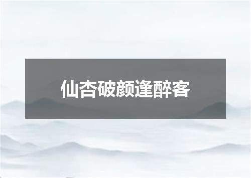仙杏破颜逢醉客
