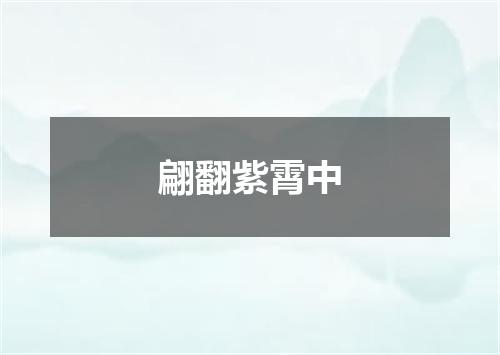 翩翻紫霄中