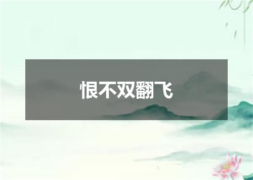 恨不双翻飞