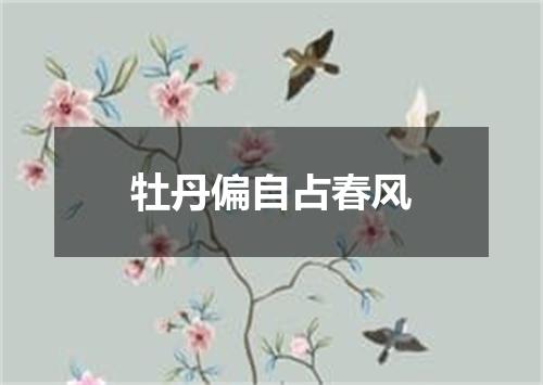 牡丹偏自占春风