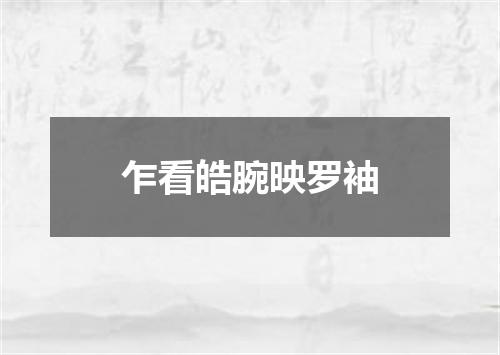 乍看皓腕映罗袖