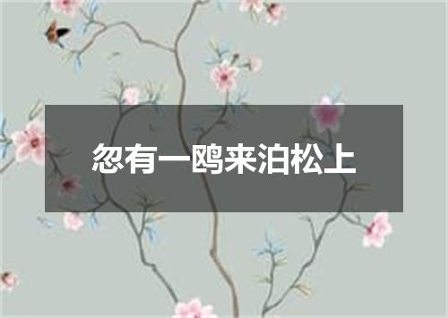 忽有一鸥来泊松上