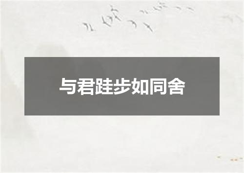 与君跬步如同舍