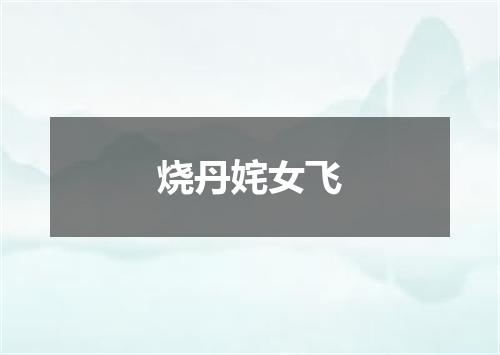 烧丹姹女飞