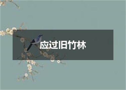 应过旧竹林