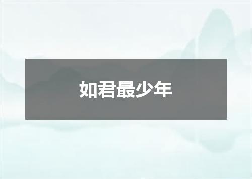 如君最少年