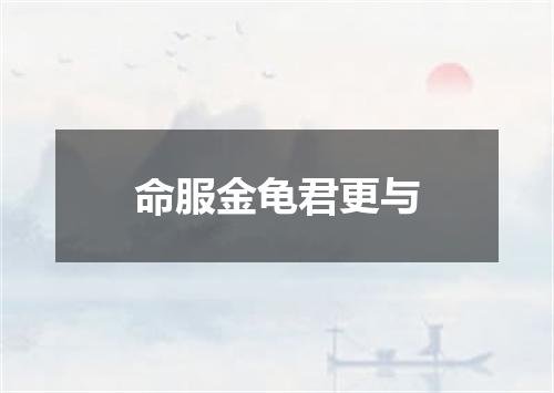 命服金龟君更与