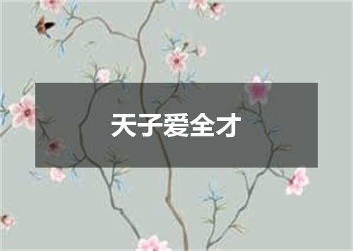 天子爱全才