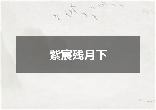 紫宸残月下