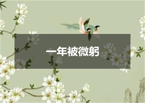 一年被微躬