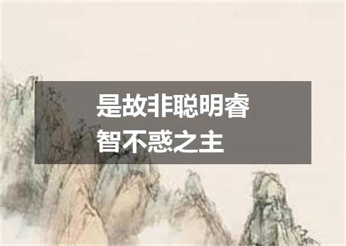 是故非聪明睿智不惑之主