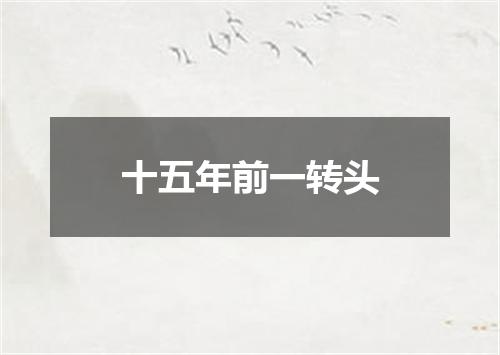 十五年前一转头