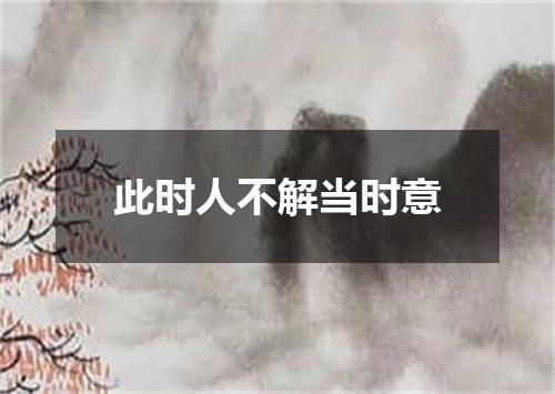 此时人不解当时意