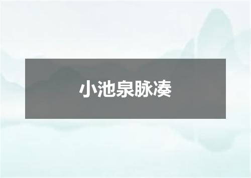 小池泉脉凑