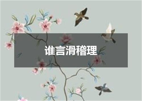 谁言滑稽理