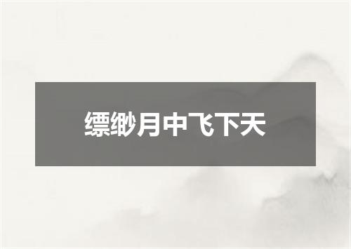 缥缈月中飞下天