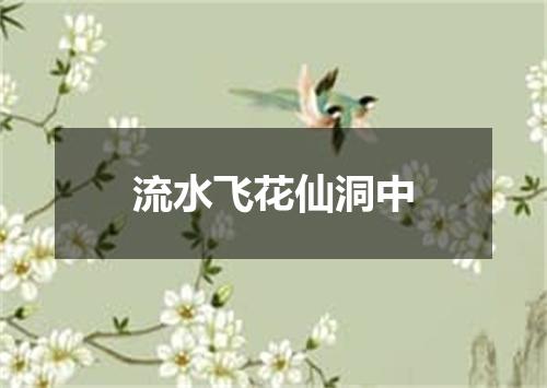 流水飞花仙洞中