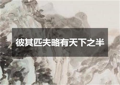 彼其匹夫略有天下之半
