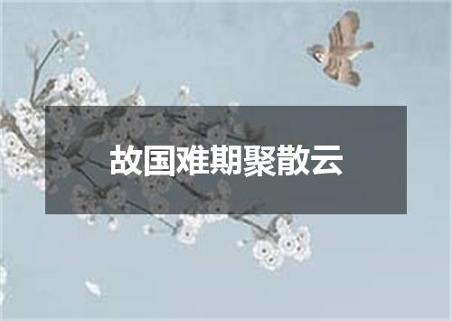 故国难期聚散云
