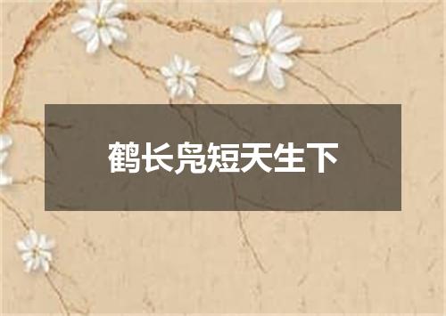 鹤长凫短天生下