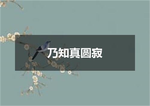 乃知真圆寂