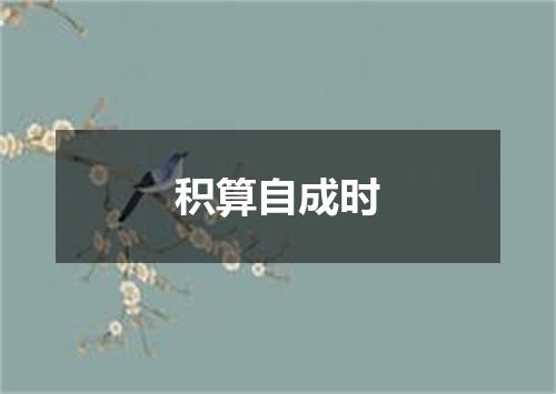 积算自成时