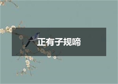 正有子规啼