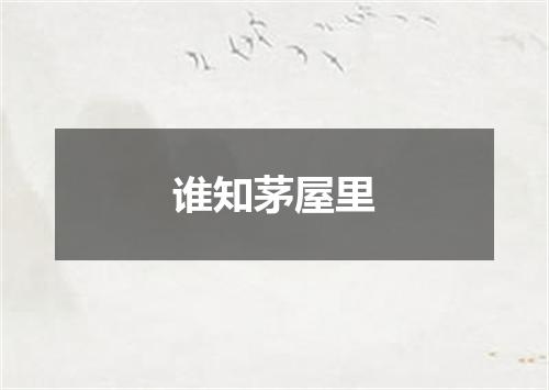 谁知茅屋里
