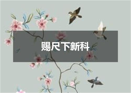 赐尺下新科