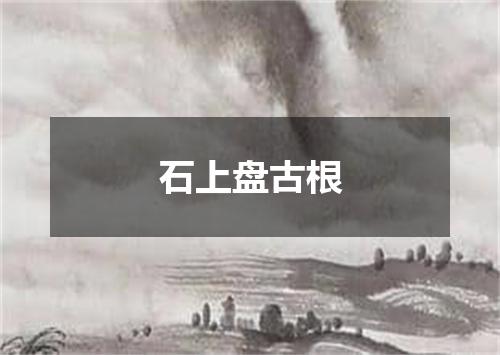 石上盘古根