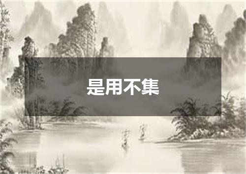 是用不集