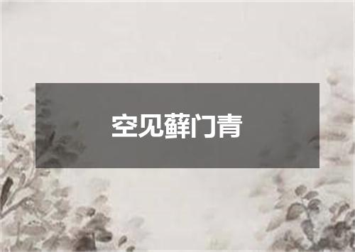 空见藓门青