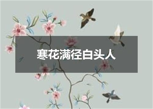 寒花满径白头人
