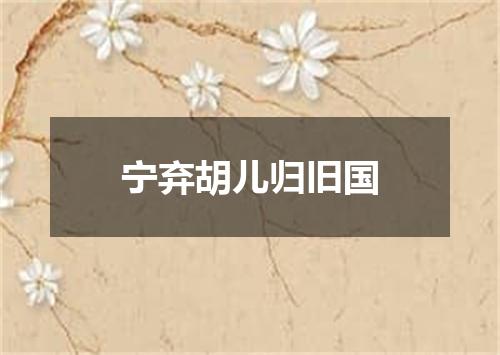 宁弃胡儿归旧国