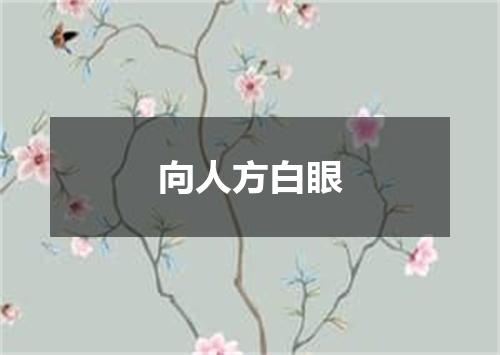向人方白眼