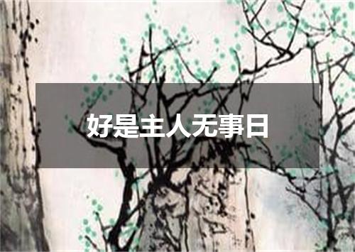 好是主人无事日