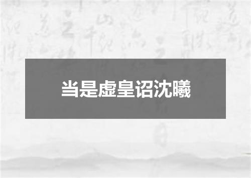 当是虚皇诏沈曦