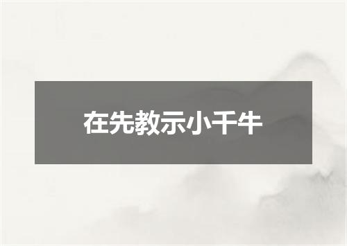 在先教示小千牛
