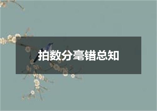 拍数分毫错总知
