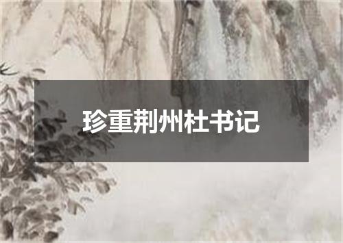 珍重荆州杜书记